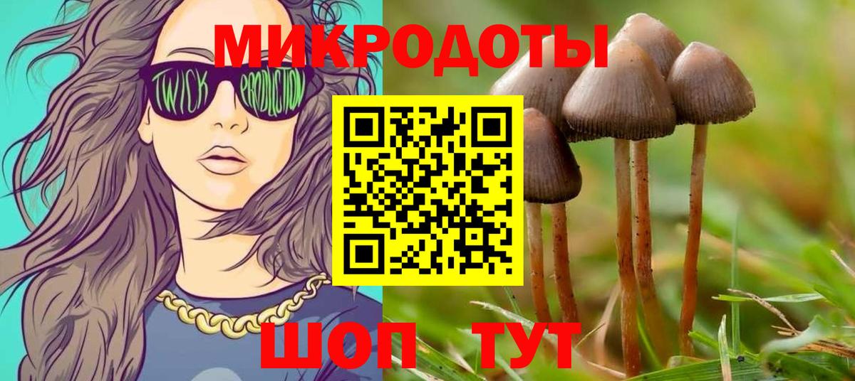 Домодедово  Галлюциногенные грибы GOLDEN TEACHER  где продают   Вход с VPN  Галлюциногенные грибы прущие грибы 